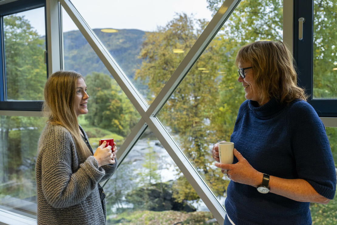 Aksnes finner mye støtte i Agnes Merete Fotland som er kollega og styremedlem ved fakultetet for helse- og sosialvitenskap.  – Høgskolen er en stor organisasjon med mange ledd mellom meg og rektor. Heldigvis er det mange fagforeninger på huset, som samarbeider godt på tvers, forteller Aksnes.